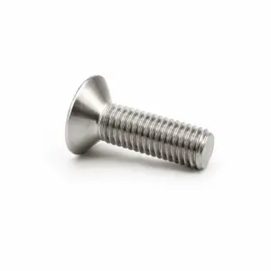 Mastodon SS Torx Bolt 10X30mm