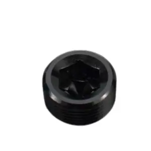 ANF NPT Socket Plug-1"